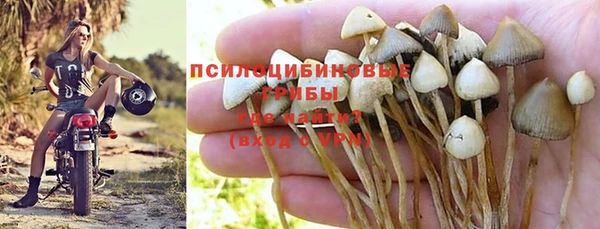 бутират Алзамай